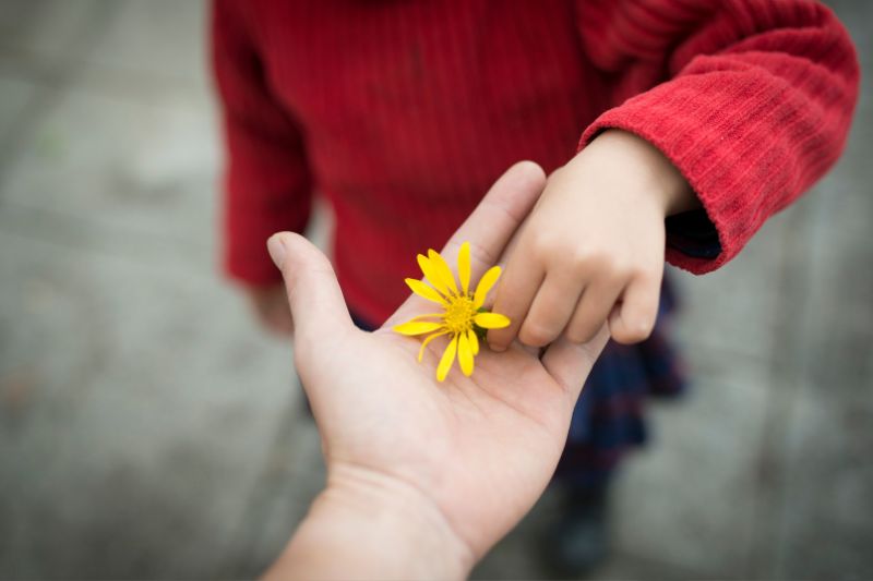 Real Transformations